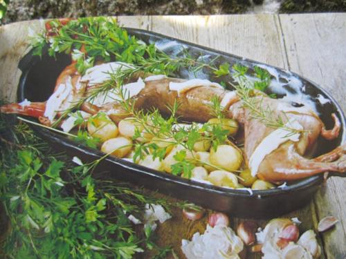 COELHO TTTT IMG_2224