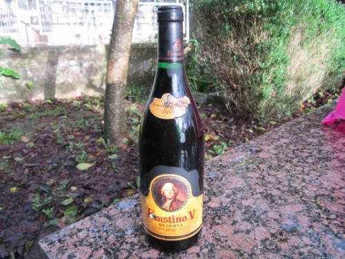 faustino IMG_2676