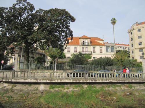 LEIROS AAAAAAAAAAAAAAAAAAAIMG_2444