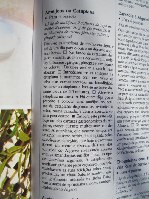 OOOOOO800 ooIMG_4280