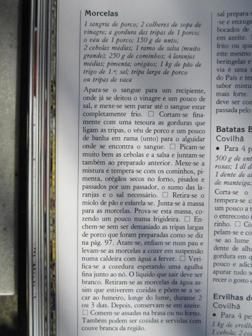 OOOOOOOOOOO109IMG_3629