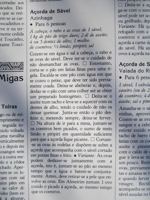 OOOOOOOOOOO13IMG_3847