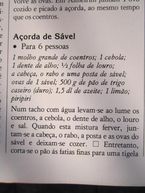 OOOOOOOOOOO14IMG_3848