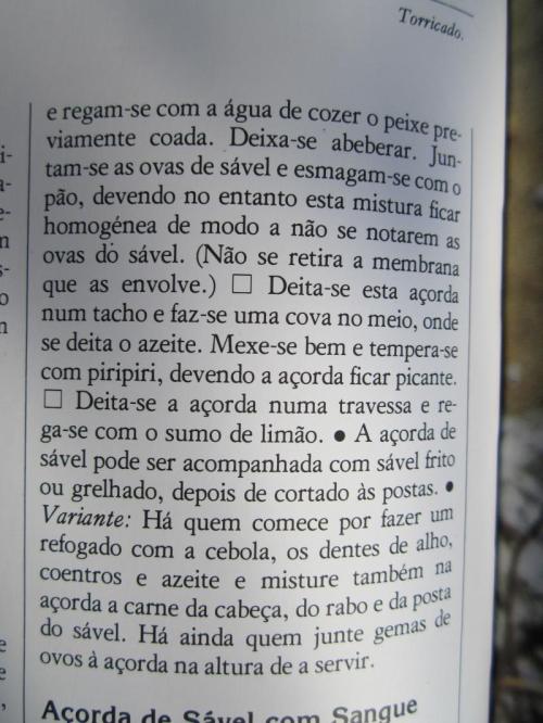 OOOOOOOOOOO15IMG_3849