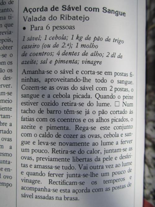 OOOOOOOOOOO16IMG_3850