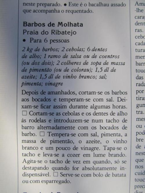 OOOOOOOOOOO29IMG_3864