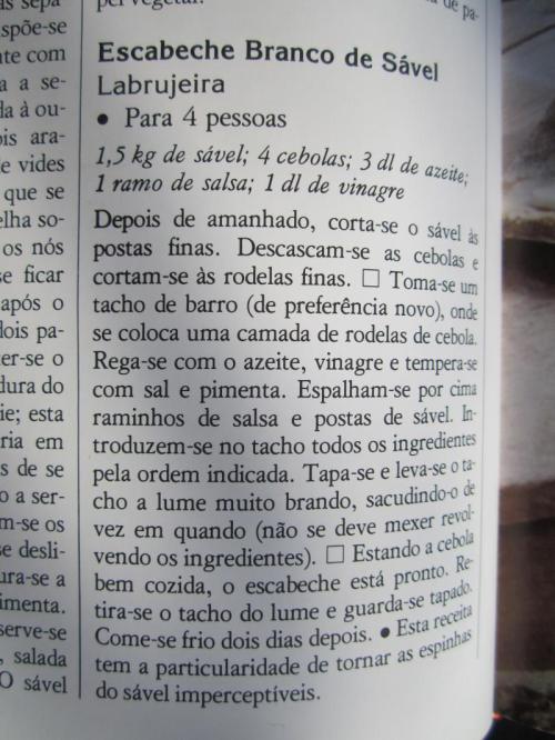 OOOOOOOOOOO50IMG_3870