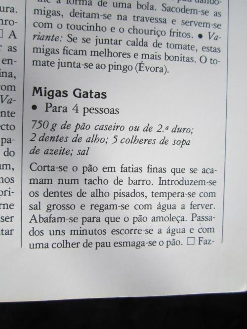 ooooooooooooo509 IMG_4117