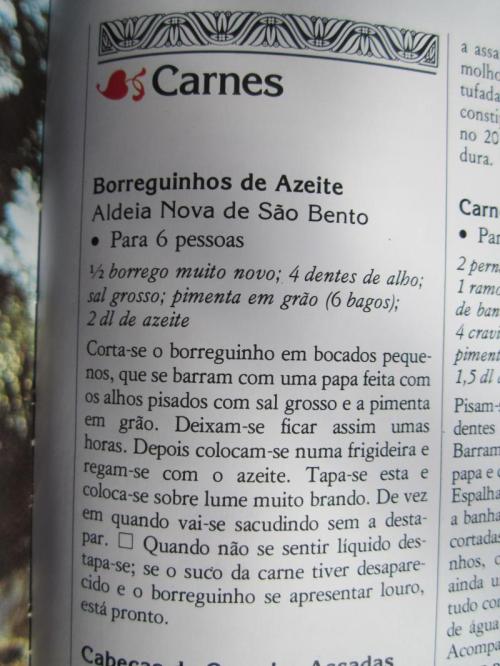 ooooooooooooo537 IMG_4137