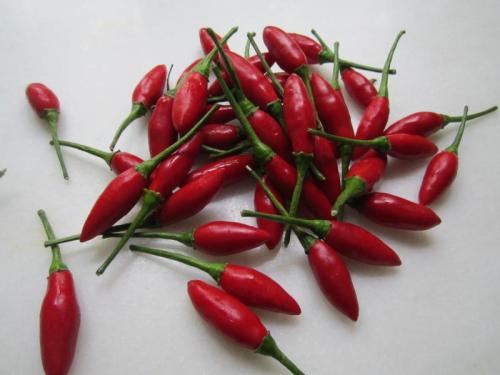 PIRI PIRI 2 IMG_2080