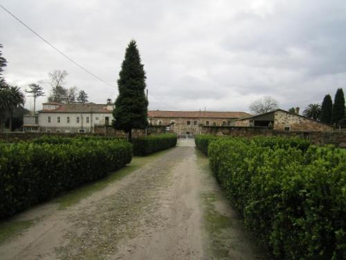 SALVATERRA 7 IMG_3000