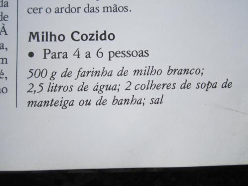 UUUUUUUUUU48 IMG_4392