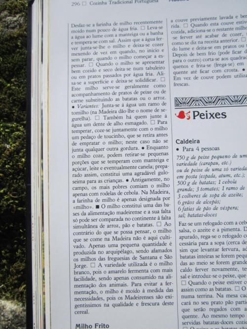 UUUUUUUUUU49                                                            IMG_4393