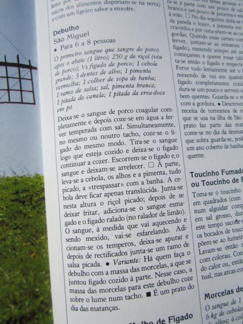 WWWWWWWWW40 IMG_4494