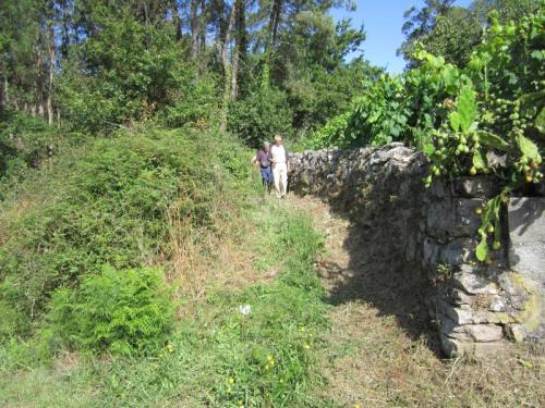 caminho santa leocadiaIMG_1919