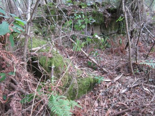CAPELA DE SANTA LEOCADIAIMG_1916