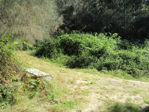 CAPELANA LIXO IMG_1948