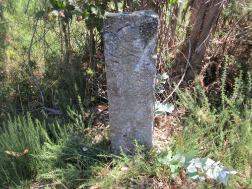 coto cabalo intermedio