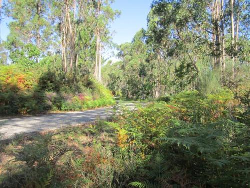 ENCOSTADA FRONTEIRA IMG_1946