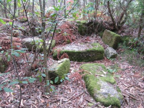 HERMIDA CUATROIMG_1911