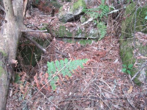 HERMIDA LEOCADIAIMG_1914