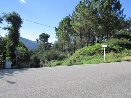 SORREIRA QUATRO IMG_1943