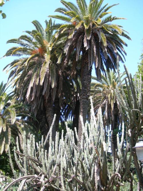 WWOO2O1 Lisboaxullo06 250