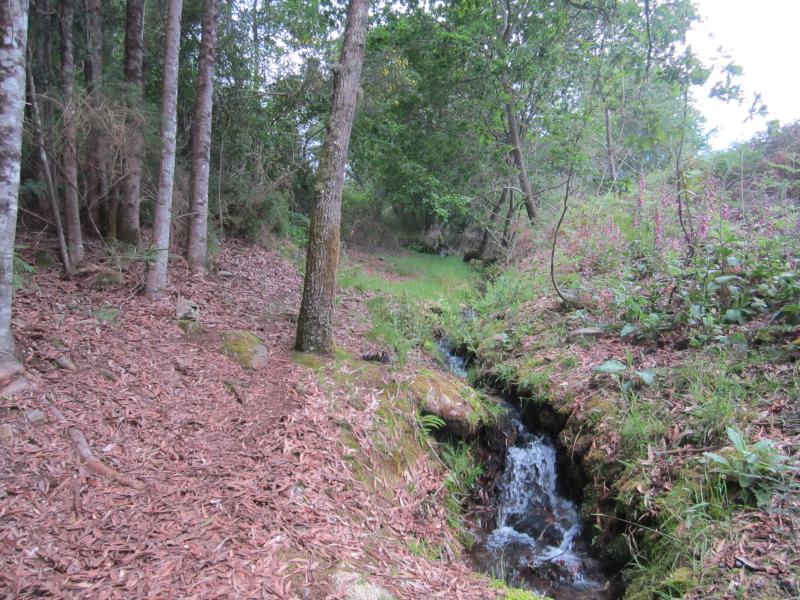 Esta imaxe ten o atributo alt baleiro; o se nome de arquivo é img_0920.jpg