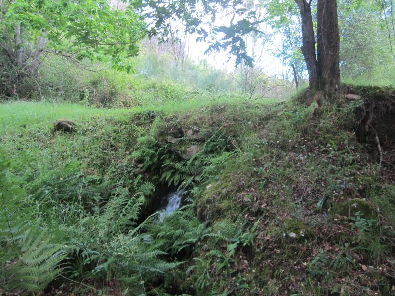 Esta imaxe ten o atributo alt baleiro; o se nome de arquivo é img_0922.jpg